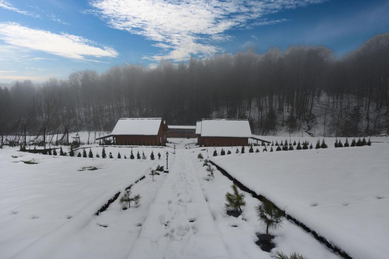 U Zrodel Strwiaza Villa อุสชิกีดอลเน ภายนอก รูปภาพ
